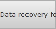 Data recovery for Bossier City data